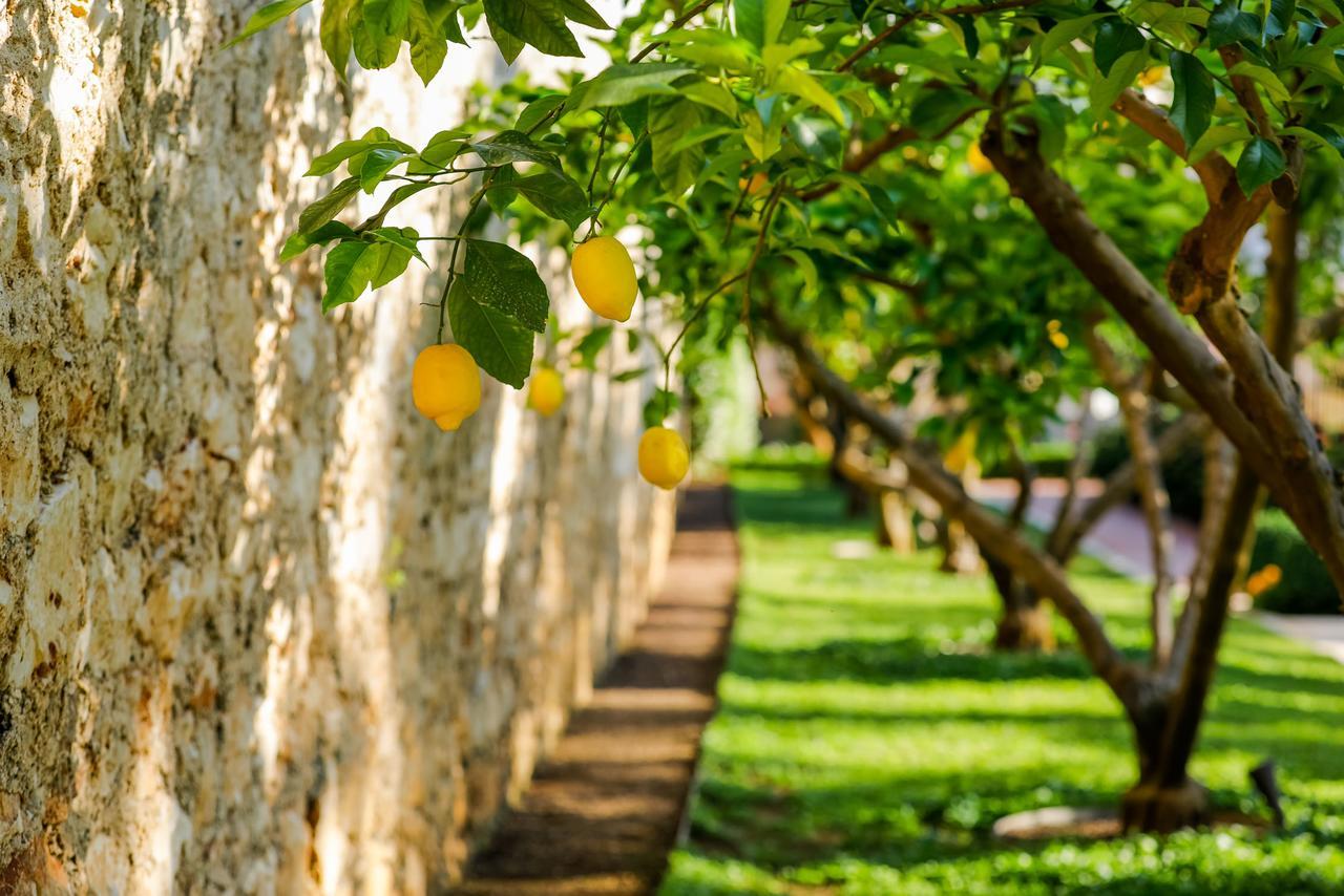 Hotel Lemongarden - Adults Only Sutivan Exterior foto