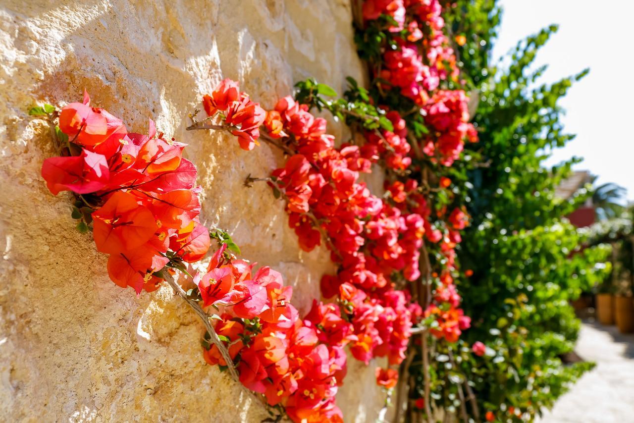 Hotel Lemongarden - Adults Only Sutivan Exterior foto